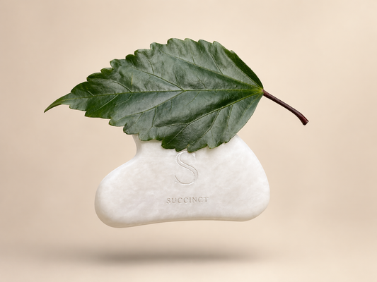 One Sculpt